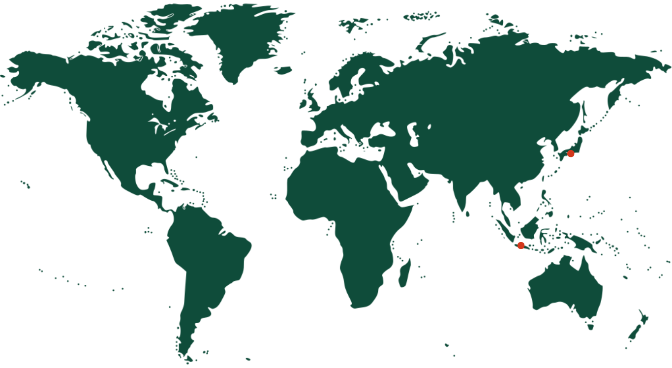 World Map showing PartSafari's focus on Asia